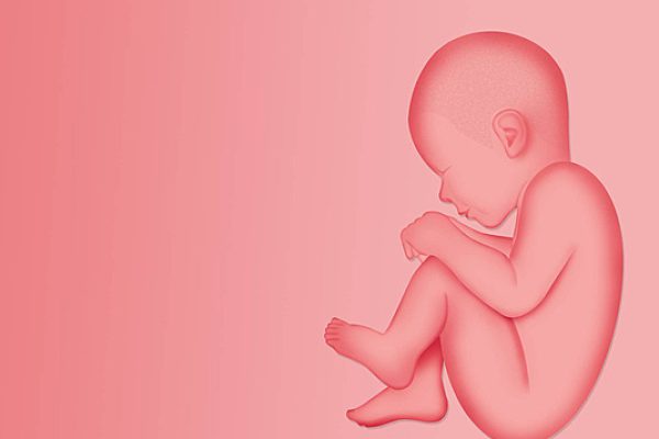 pngtree-illustration-of-fetus-girl-illustration-fertility-photo-image_27629606 pngtree-illustration-of-fetus-girl-illustration-fertility-photo-image_27629606